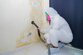 Best Forensic Mold Investigation  in Venus, TX